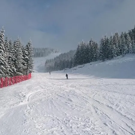 Prázdninový dům Holiday Sindelova *
